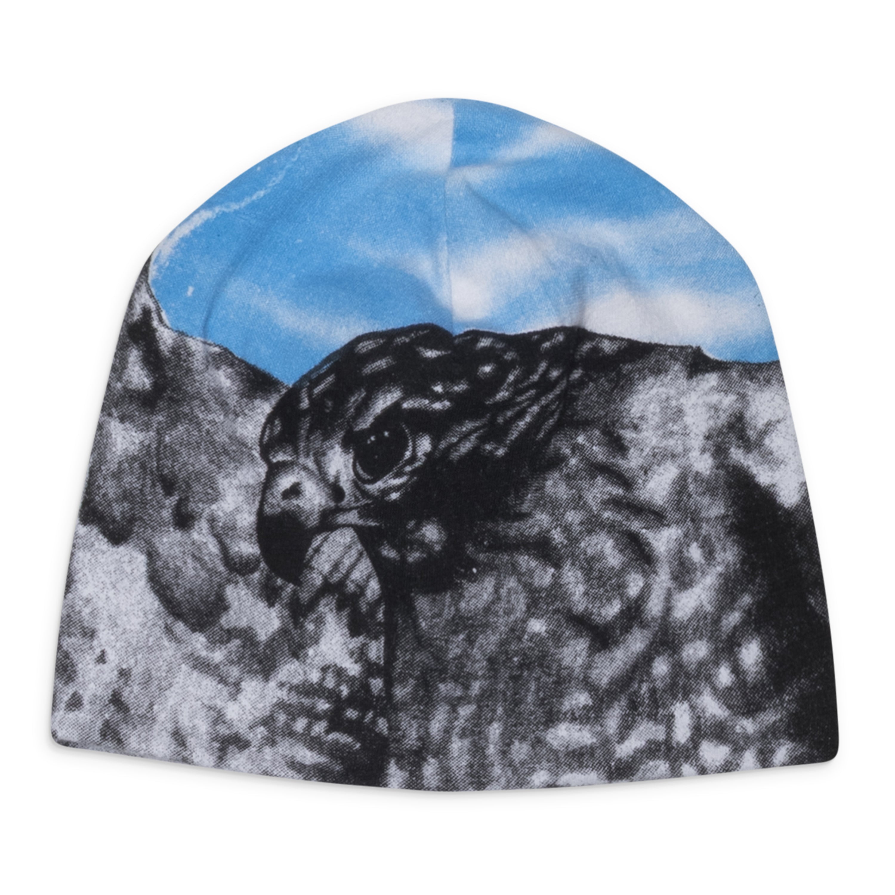 Joshua Jamal T-Beanie Multicolor
