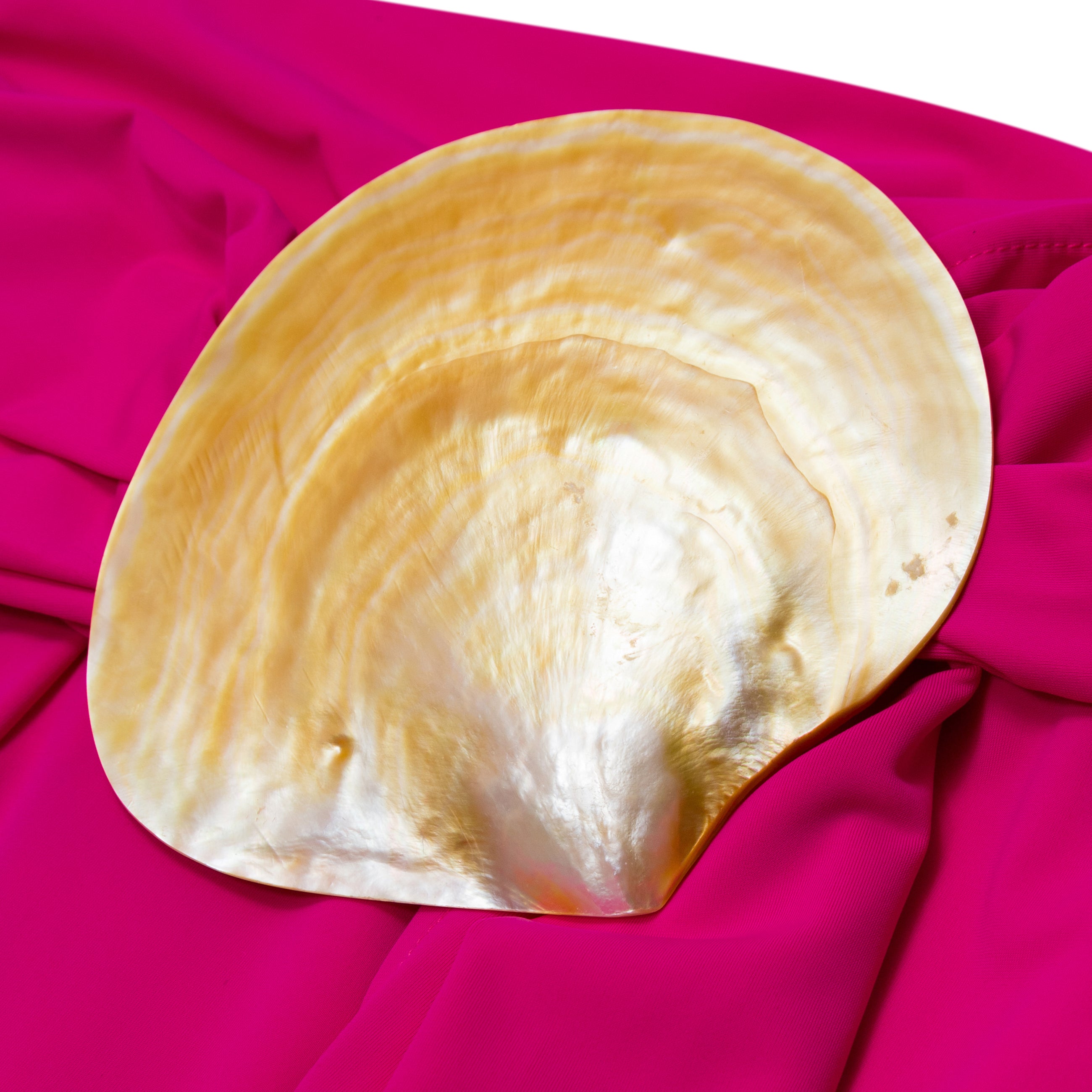 Conner Ives Shell Sash Trousers Pink