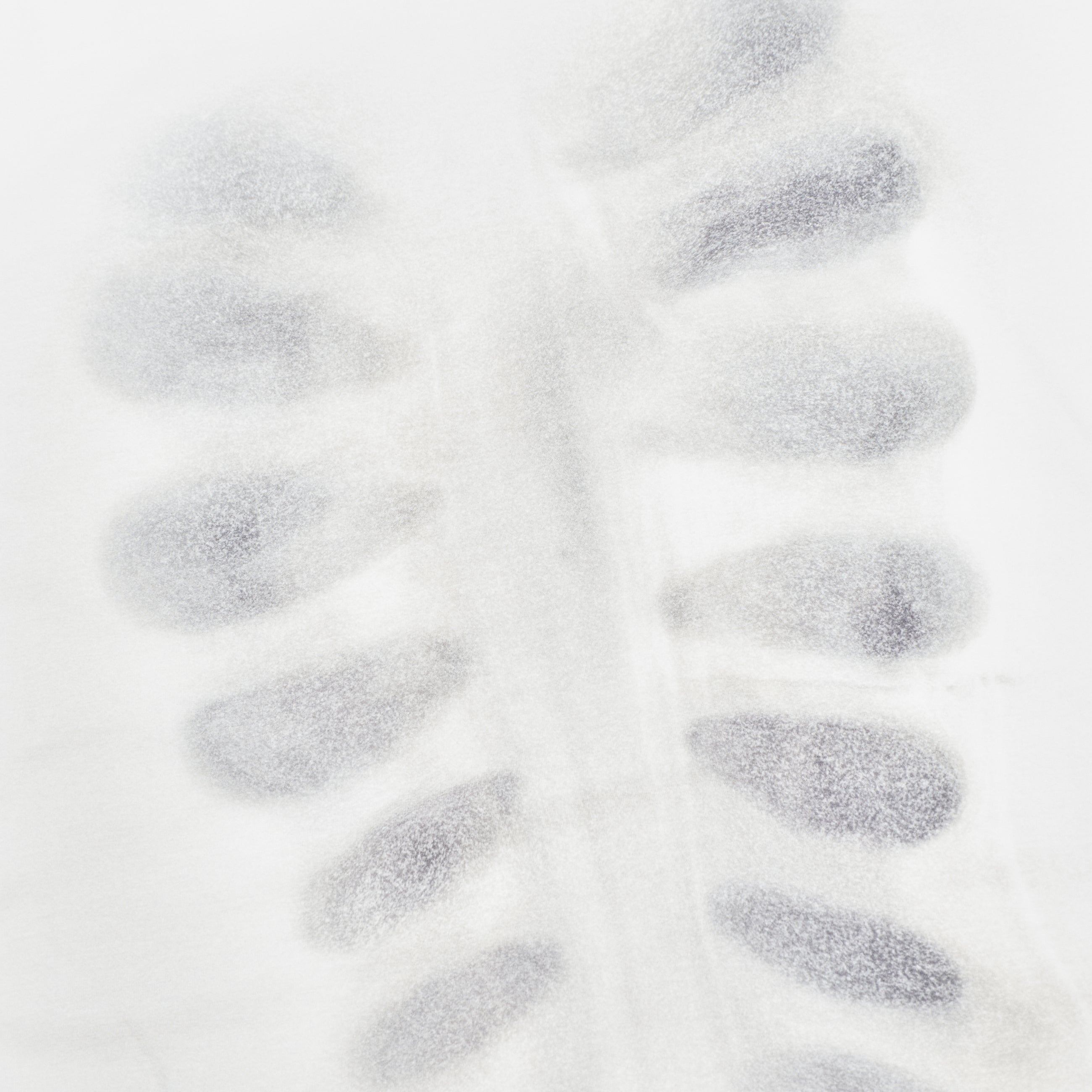 AVAVAV Hooded Top Printed X-Ray White
