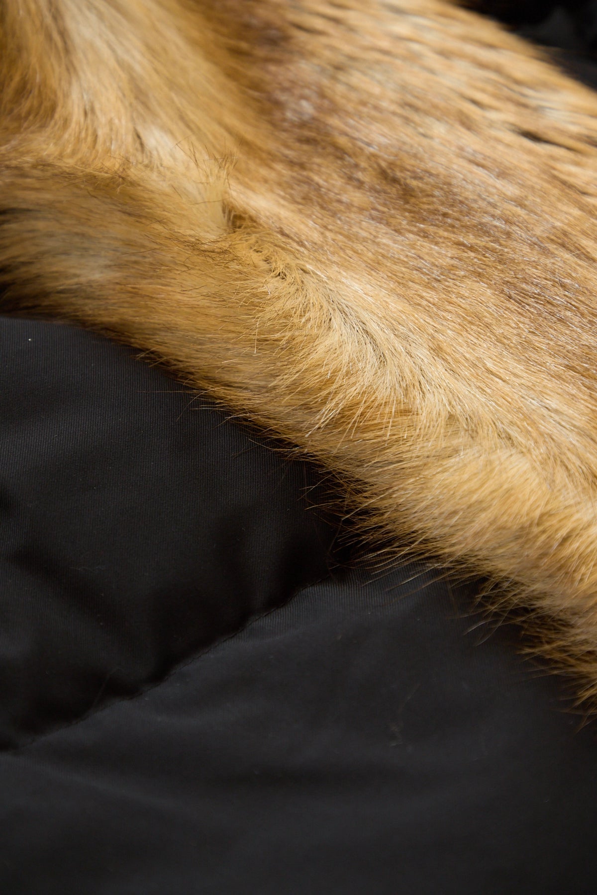 Ottolinger High Collar Puffer Jacket Black