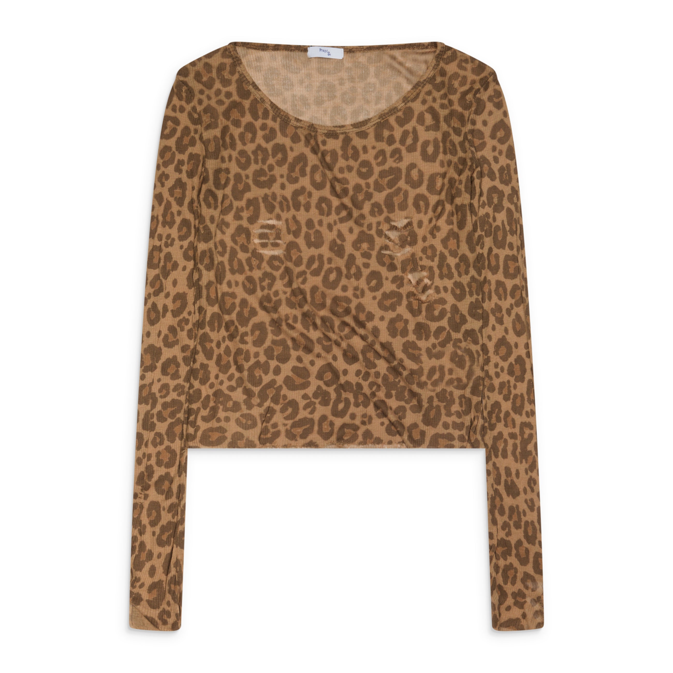 Praying Cheetah L/S Multi