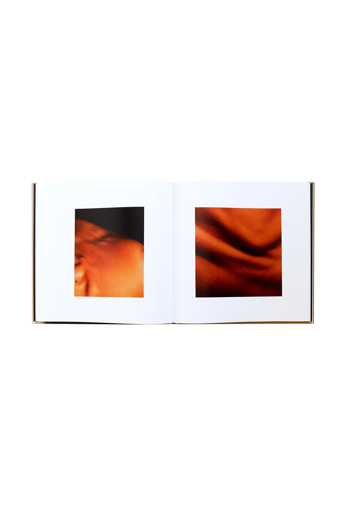 Stephan Pompee What God Sees Art Book