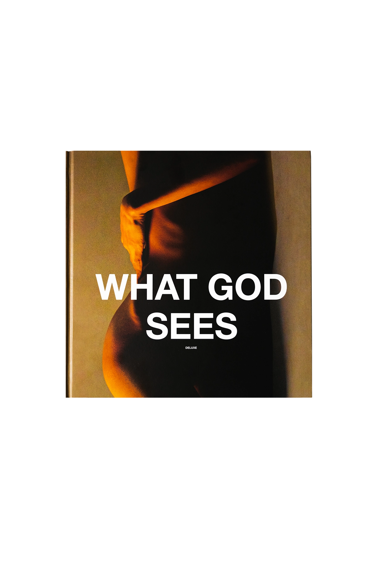 Stephan Pompee What God Sees Book